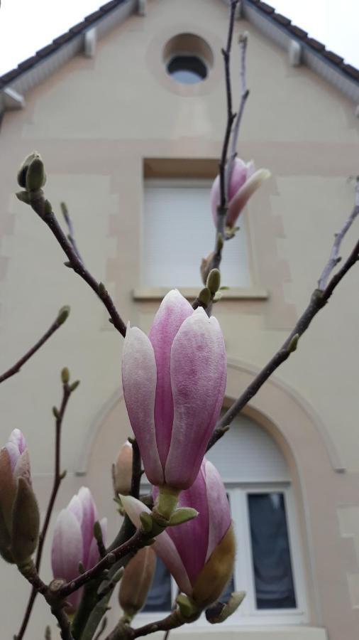 Le Gite Du Magnolia Willerval Exterior photo